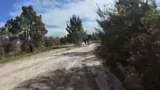 The sandy paths that take us home