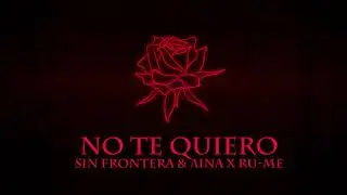 No te quiero - Sin Frontera & Aina x Ru-Me (Official Audio)