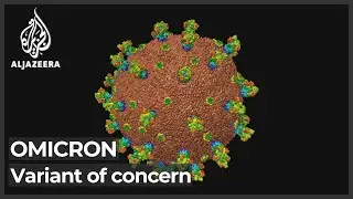 WHO designates new COVID strain Omicron as &lsquo;variant of concern&rsquo;