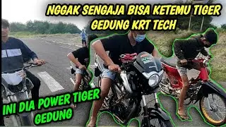 SETING TIGER GEDUNG KRT TECH YANG SEMPAT VIRAL DI THAILAND #landasanpacudepok #galangrizky27