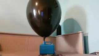 Ballon pump vs Qualatex 24