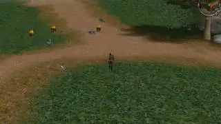 Metin 2 Gameplay