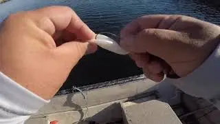 Summer Bass Fishing- Big Boils!