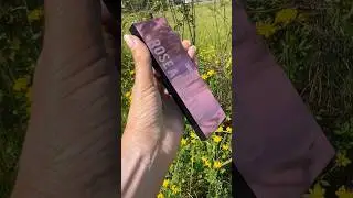 Прекрасная палетка Pupa Rose  Addicted 💫#cosmetics #косметика #eyepalette #shorts