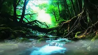 Relaxing Nature Sounds for Sleep, Forest Sounds, Beautiful Birds Singing,Relax, Study, Meditate,#009