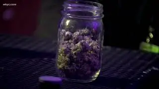 Ohio selects 12 businesses to grow medical marijuana