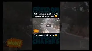 These rally cars handle these turns at insane speeds #reaction #rallycar #speed #race #wow #skillful