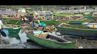 PORT TALABA 2 LONGOS BACOOR #mastermark TV