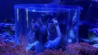 Sea world (dez 19)