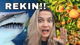 Rodzinny vlog z USA 🇺🇸 Rekin, manaty i mandarynki .... tylko na Florydzie ! 