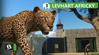 Kr&aacute;sn&yacute; LEVHART n&aacute;m lidi nal&aacute;k&aacute; | Planet ZOO #3