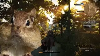 Witcher 3: Wild Hunt [Бурундук экспресс-тест] (1080p, Ultra Settings)
