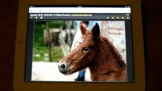 Th&egrave;me tablet-ipad-d pour PIWIGO