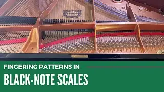 Fingering Patterns in Black Note Scales