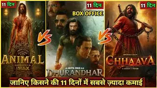 Dhurandhar Movie Worldwide Box Office Collection Day 11th Vs Animal Collection Vs chhaava Collection