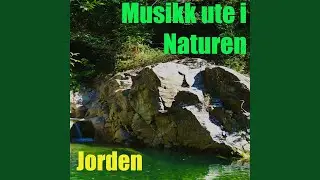 Musikk ute i Naturen