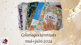 Colos terminés du mois de mai et juin 2024