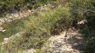 Rockpool adventure