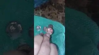 How to clean pennies in 15  minutes or Less