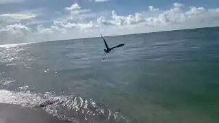 Jupiter Discovery X7- Anna Maria, FL