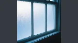 Softly Out of Focus