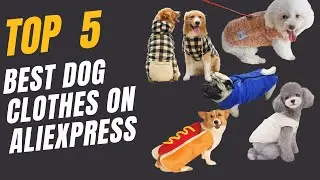 Top 5 Best Dog Clothes on Aliexpress 2025