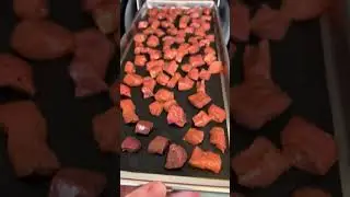 Да, я замораживаю корм для собак 🐶#шорты