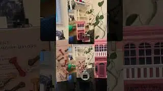 #standardproducts #haul #dailyvlog #flow #インテリア #room #running #journaling #手帳 #観葉植物 #2025