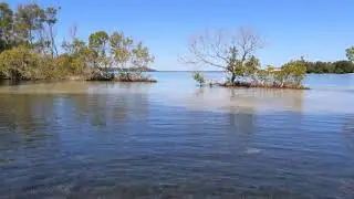 Shallow Waters