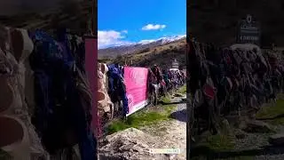 Must Watch | Cardrona Bra Fence | Cardrona👙👀🙋🏽&zwj;♀️ #nature #travel #youtube #shorts