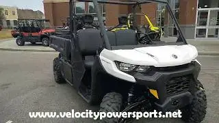 2020 Can Am&reg; Defender PRO DPS HD10