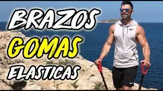 RUTINA BRAZOS GOMAS ELASTICAS || BICEPS - TRICEPS - HOMBROS en 10 MINUTOS!