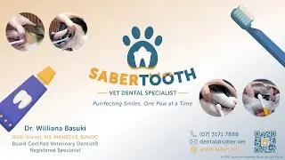 Toothbrushing Tutorial (Dogs & Cats) by Sabertooth Vet Dental Specialist