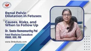 Renal Pelvic Dilatation in Fetuses: Causes, Risks, & When to Follow Up | Institute of Fetal Medicine
