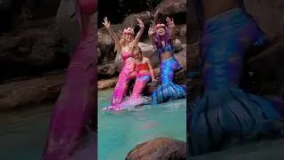 Beautiful mermaids 💓 #mermaid #beautiful