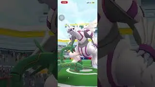 Our Trio's Dragon Team with Mega Latios & Shadow Salamence on Palkia!