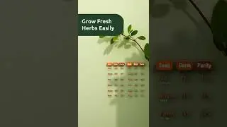 4,000 Non-GMO Heirloom Vegetable Seeds Kit
