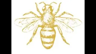 Bee Hunter Mendocino 111320 VO Bee Hunter Wines Anderson Valley/Mendocino, Organic farming.