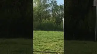 Забыл про коронную фишку этого канала
