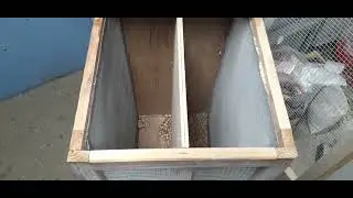 pigeon feed hopper