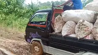 Proses muat jagung jalan becek ber lumpur