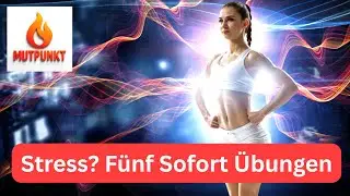 STRESS-NOTFALL? 5 Neuro-Hacks f&uuml;r Entspannung in 90 SEK (Labor-getestet!)