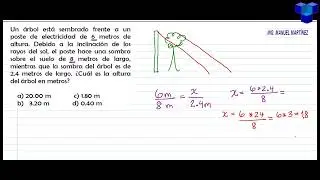 Prueba diagnóstica MINEDUC graduandos, Ejemplos resueltos de matemática parte 1