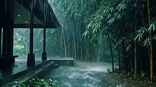 Soothing Heavy Rain ASMR Near House Terrace and Green Bamboo Trees for Calm Sleep Relaxation 19