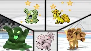 Live! Shiny Grimer, Vulpix & Raticate in Pok&eacute;mon LeafGreen! + Pok&eacute;mon XD: Gale of Darkness Showcase