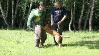 Bolshoy (Russian) ring, mh Gangster,training exercise.Part2,Ганс, рабочие моменты