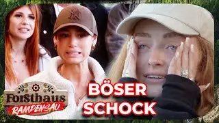 Verrechnet? B&ouml;se &Uuml;berraschung beim gro&szlig;en Abs&auml;gen! 🪚 | Forsthaus Rampensau | ATV