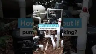 Our team of professionals detected a pool pump leaking during a service. #shorts #youtubeshorts