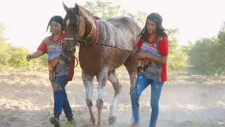 Desafio / Penca - Barão de Grajau | Haras Fort - Corrida de Cavalos