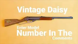 Can You Identify This Vintage Daisy?